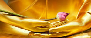 Buddhahender i meditasjon