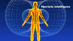 Hjertets elektromagnetiske felt 